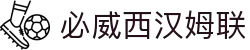 中国·必威(bw·西汉姆联)有限公司-Official website
